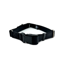 Martingale Dog Collar
