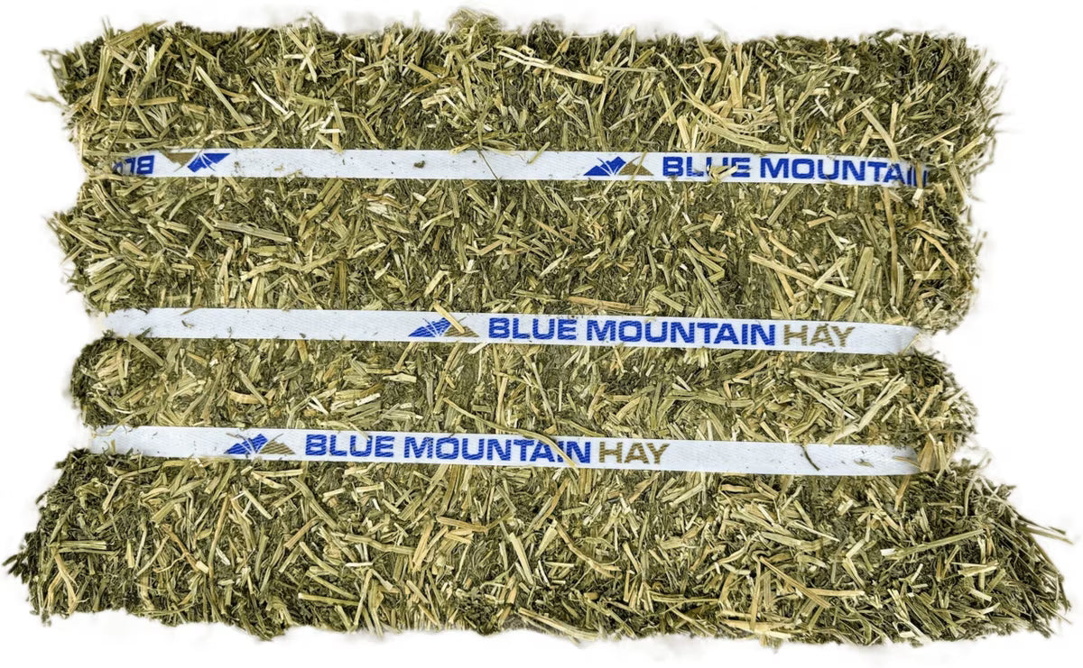 Blue Mountain Hay High-Altitude Alfalfa Hay Easy Flake Box Horse Feed, 50-lb