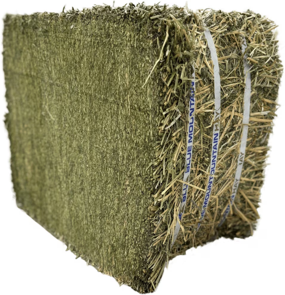 Blue Mountain Hay High-Altitude Alfalfa Hay Easy Flake Box Horse Feed, 50-lb