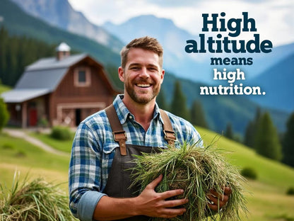 Blue Mountain Hay High-Altitude Orchard Grass Hay Easy Flake Box Horse Feed, 50-lb