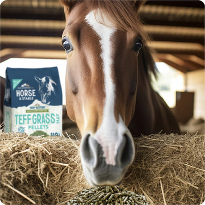 Blue Mountain Hay High-Altitude Teff Grass Hay Pellet Horse Feed, 40-lb