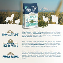 Blue Mountain Hay High-Altitude Teff Grass Hay Pellet Horse Feed, 40-lb