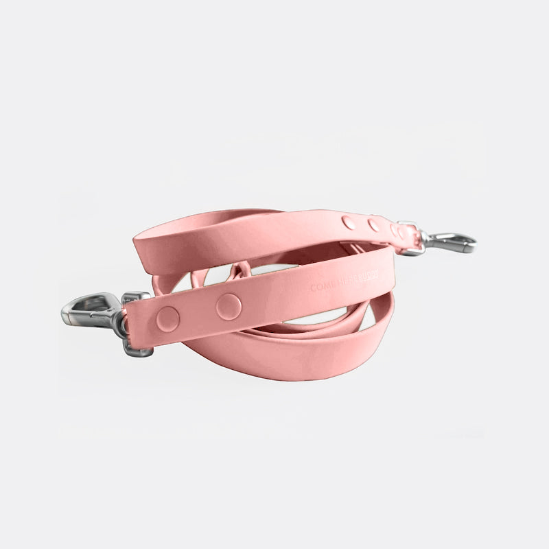 Leash
