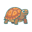 Box Turtle