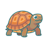 Box Turtle