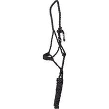 Cashel Flat Braid Pony Halter