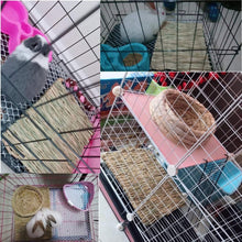 The Ultimate Chew-athon: 12 Grass Mats for Your Furry Friends' Snack Time and Nap Zone!