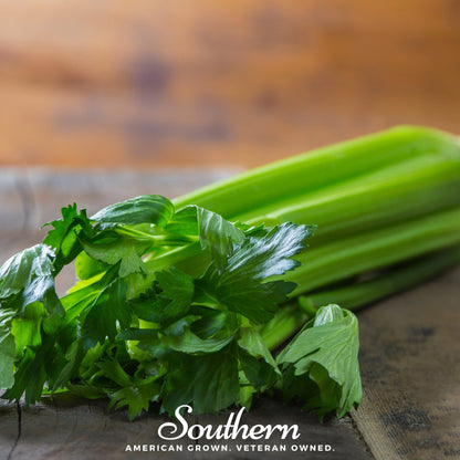 Tendercrisp Celery – 300 Seeds