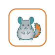 Chinchilla