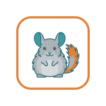 Chinchilla Supplies, Food & Care Guides