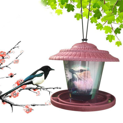 Clearview Bird Buffet