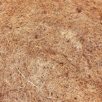 Coconut Palm Mat Reptile Box Landscaping - Dust-Free Natural Habitat Enhancement