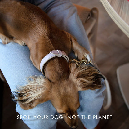 Collar - Vegan Leather