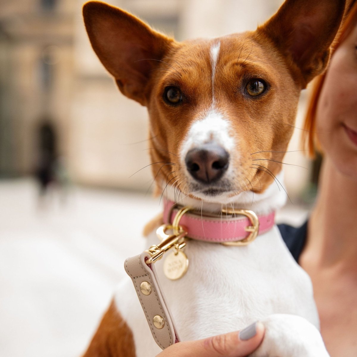 Collar - Vegan Leather