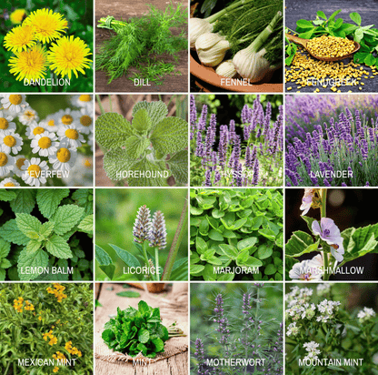 Community Garden Survival Seed Vault – 120 Seed Varieties