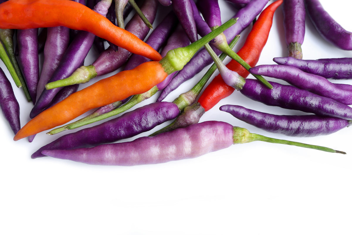 100 MIXED CAYENNE PEPPER Hot Yellow Purple Orange Red Green Capsicum Vegetable Seeds