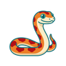 Corn Snake