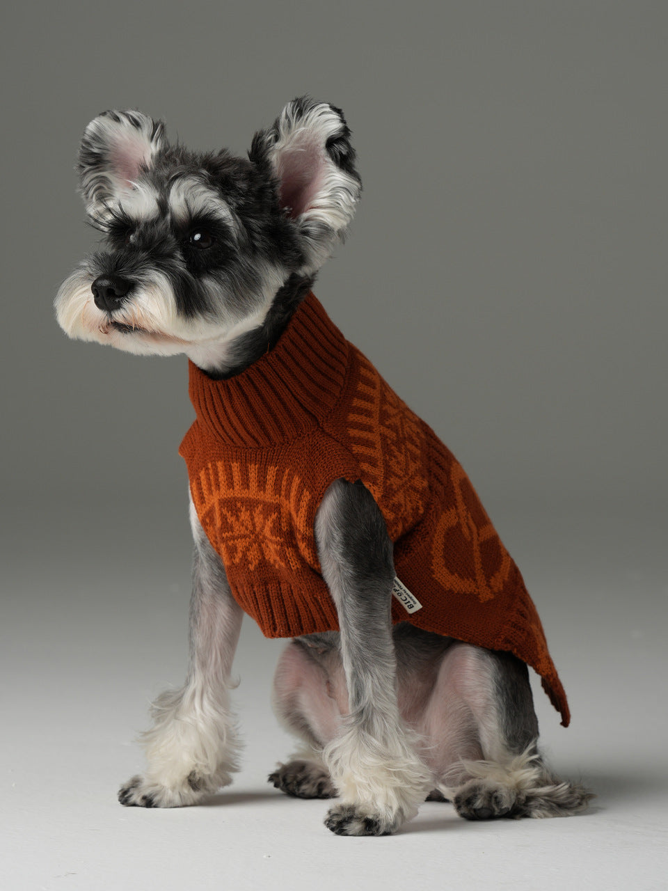 Pretzel Pet Sweater - Toffee Orange