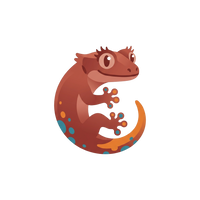 Crested Gecko