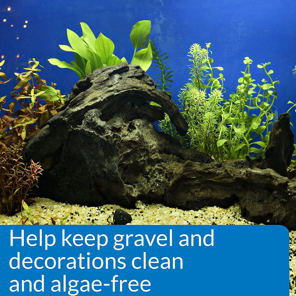 STRESS ZYME Freshwater and Saltwater Aquarium