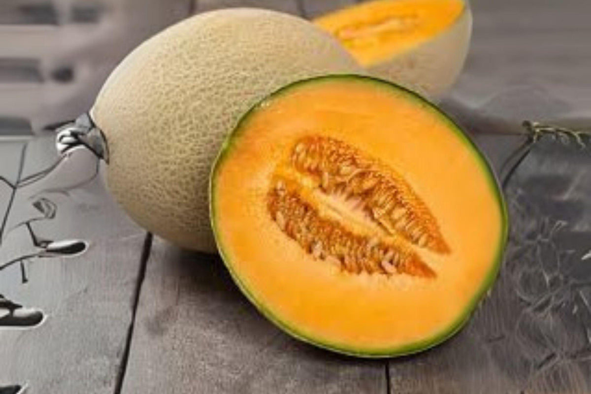 Heirloom Cantaloupe Seeds - Hales Best Jumbo Melon, Sweet Orange Flesh, Cucumis melo, 35 Seeds