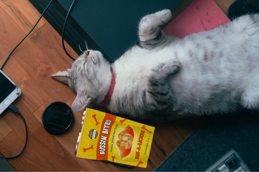 Single Ingredient, High Value Freeze-Dried Training Treats for Dogs & Cats - Sweet Potato