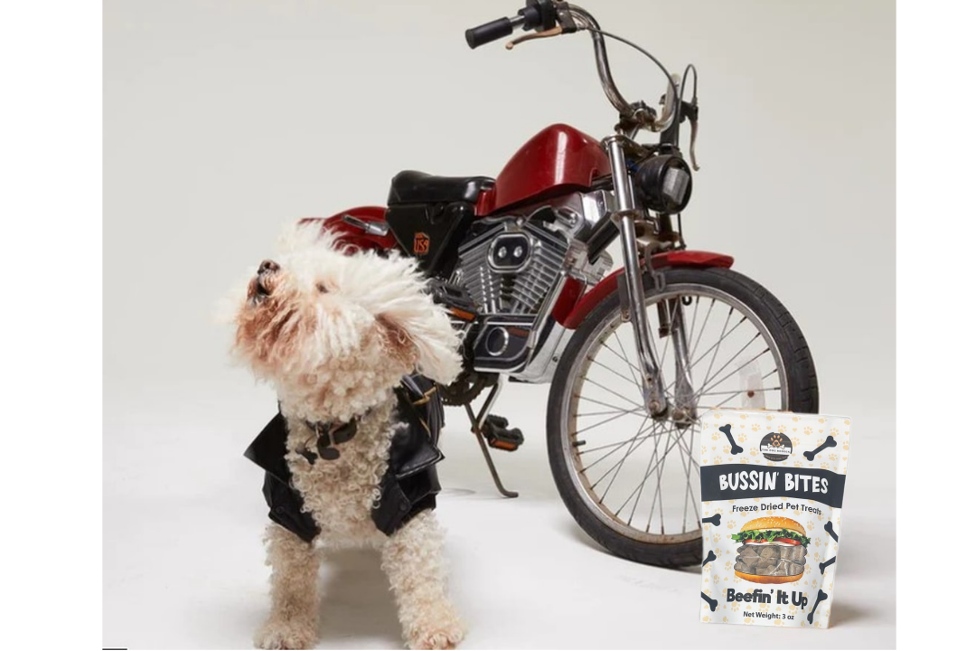 Single Ingredient, High Value Freeze-Dried Training Treats for Dogs & Cats - Beef Liver-4