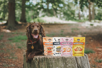 Single Ingredient, High Value Freeze-Dried Training Treats for Dogs & Cats - Beef Liver