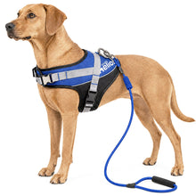 Dog Helios ® 'Bark-Mudder' 2-in-1 Reflective and Adjustable Sporty Dog Harness and Leash