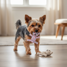 The  Bear Buddies Pet Toy