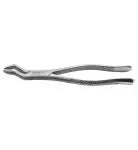 Dental Forcep #210