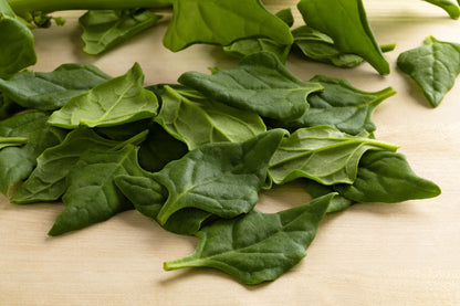 60 NEW ZEALAND SPINACH Tetragonia Tetragonioides Vegetable Greens Seeds
