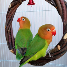 Rattan Ring Bird Cage Chewing Toy With Standing Frame - Natural Apple Branch Braided Ring For Birds