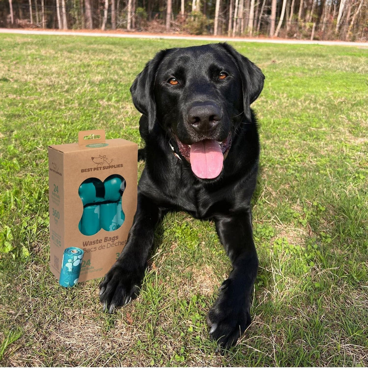Waste Refuse Cleanup, Doggy Roll Replacements