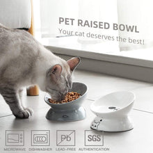 Ceramic Raised Cat Bowls