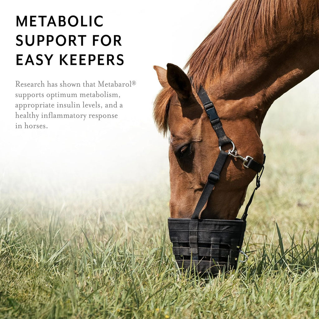 Equithrive Metabarol Metabolism Support Horse Supplement