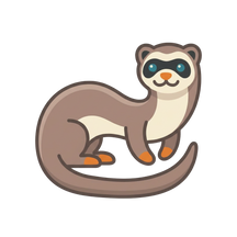 Ferret Supplies, Food & Care Guides