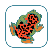 Fire-Bellied Toad Supplies, Food & Care Guides