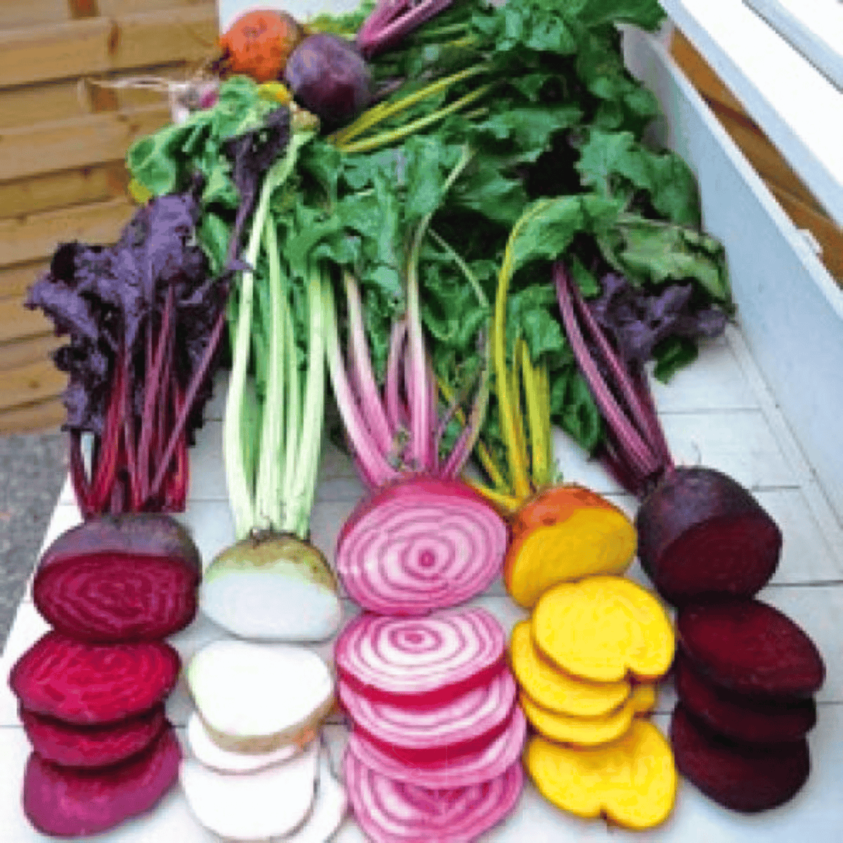 Gourmet Blend Beet – 50 Seeds