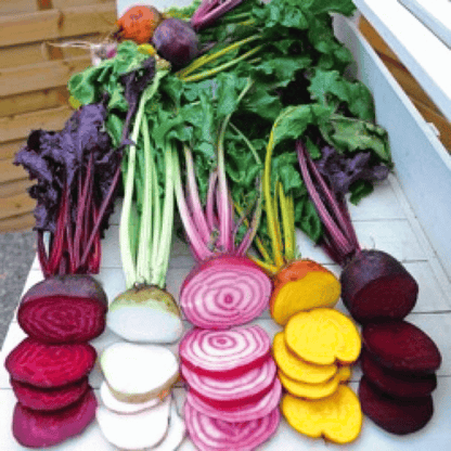 Gourmet Blend Beet – 50 Seeds