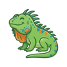 Green Iguana