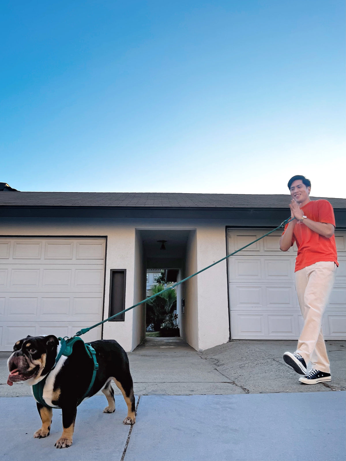 Kismet Dog Leash
