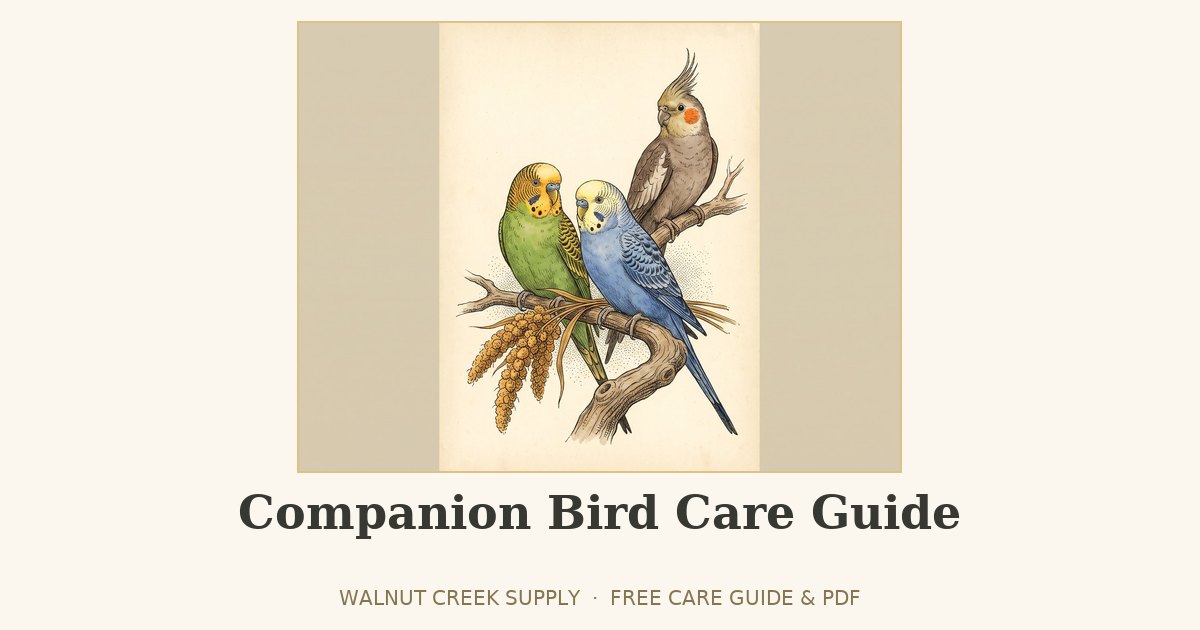 Companion Bird Care Guide illustration by Walnut Creek Supply