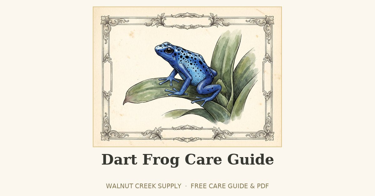 Dart Frog Care Guide illustration by Walnut Creek Supply