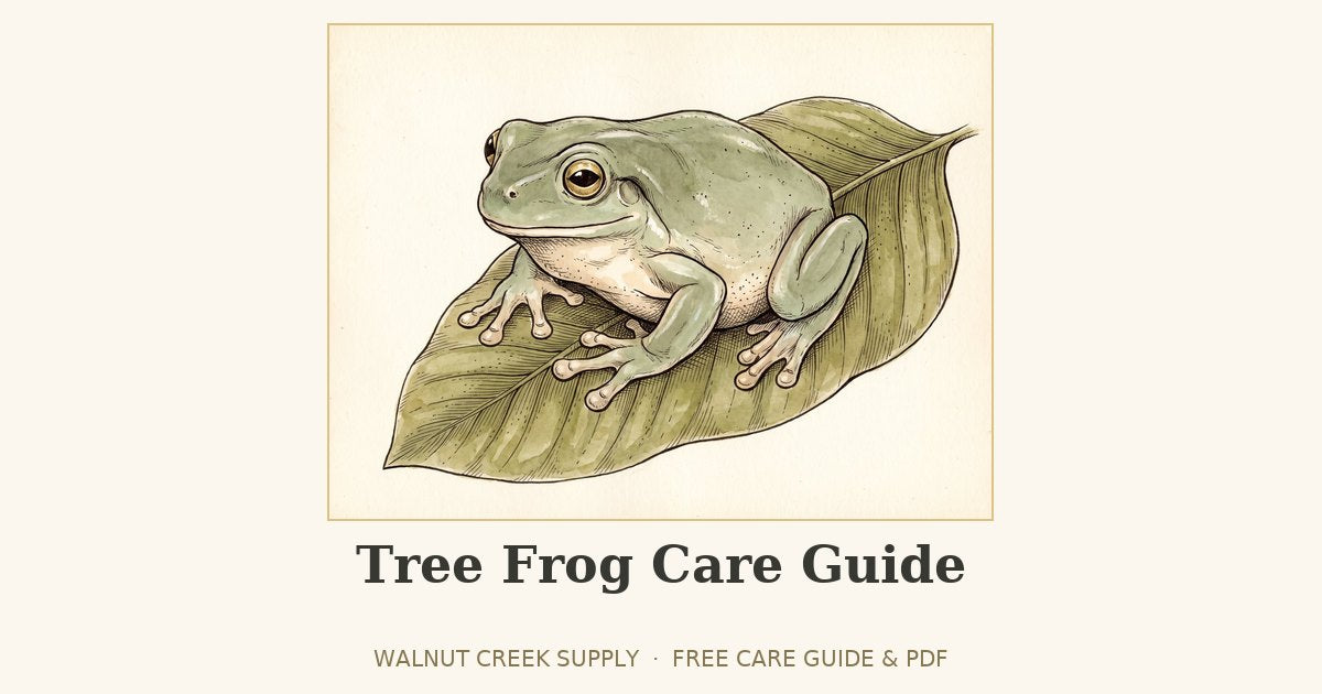 Tree Frog Care Guide illustration by Walnut Creek Supply