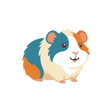 Guinea Pig