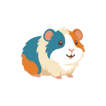 Guinea Pig Supplies, Food & Care Guides