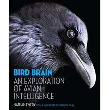 Bird Brain: An Exploration of Avian Intelligence - Hardcover