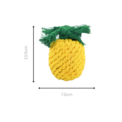 Handmade Small Pineapple Rope Toy