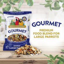 Hari Gourmet Premium Seed Mix for Large Parrots, 4-lb
